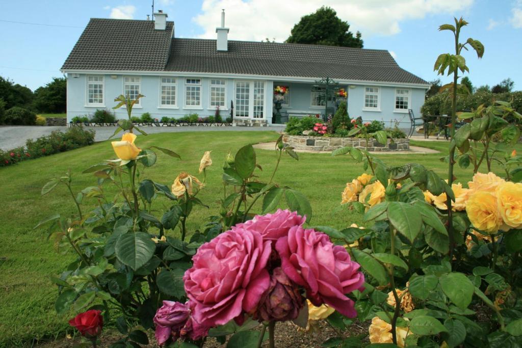 Villa Pio Accommodation 콩 외부 사진